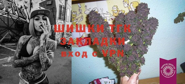 спайс Богданович