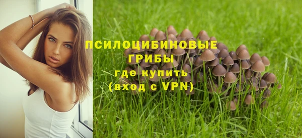 спайс Богданович