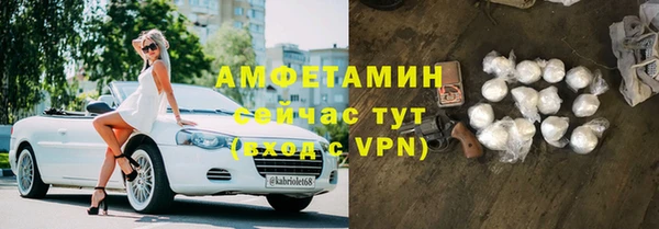 спайс Богданович