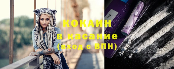 спайс Богданович