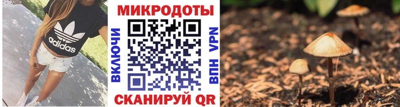 Галлюциногенные грибы ЛСД  Купить где  Лодейное Поле 